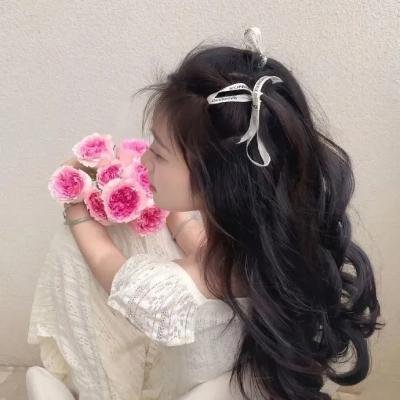 陆贞传奇 封面